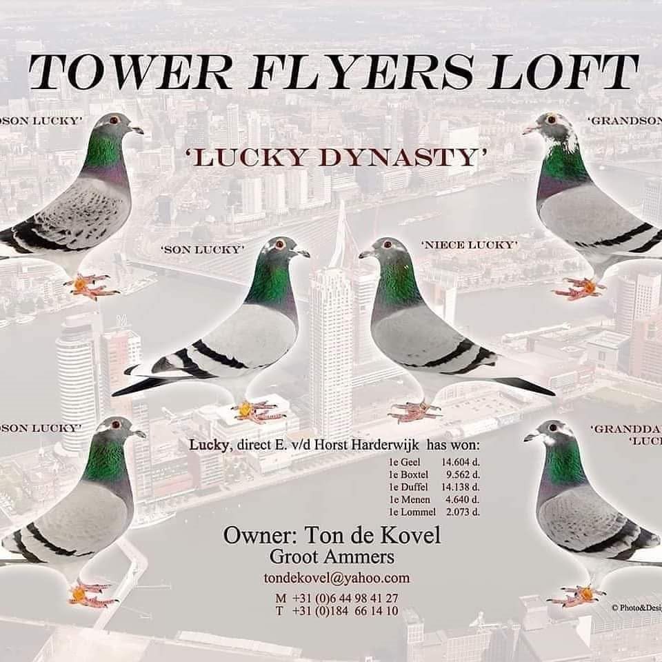 Image_{TowerFlyers Loft