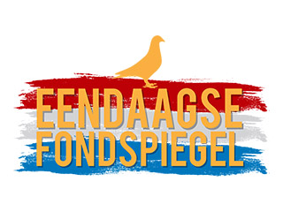 Image_{Team Fondspiegel 2022